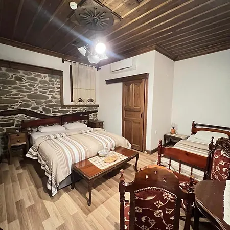 Birgi Lavinya *