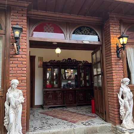 Birgi Lavinya Hotell *